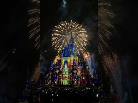 ✨Happily Ever After fireworks @ Magic Kingdom