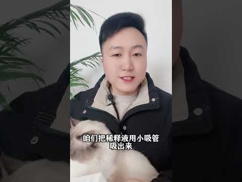 养猫狗就必须，打疫苗吗？分为两种情况。养猫经验分享 科学养宠攻略 养猫人 狂犬病毒新手养猫