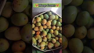 Mango Lovers | Summer Special Ripe Mango #shorts #streetfood #mango #mangolover #mangolovers #mango