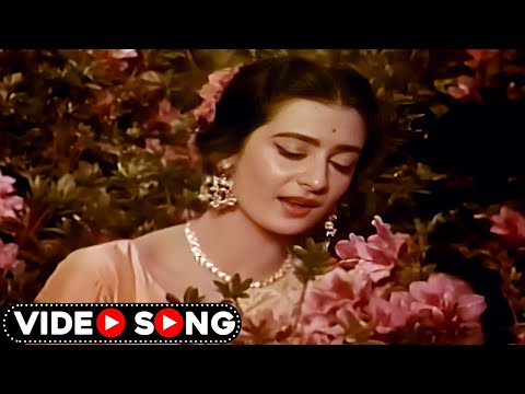 बॉलीवुड का सुपरहिट रोमांटिक सांग | Lata Mangeshkar Song | Biswajeet, Saira Banu | 60s Hindi Song