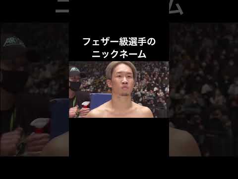 フェザー級選手のニックネーム集【RIZIN】#shorts