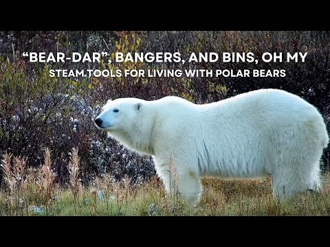 “Bear-dar,” Bangers, and Bins, Oh My - STEAM Tools for Living with Polar Bears | Tundra Connections