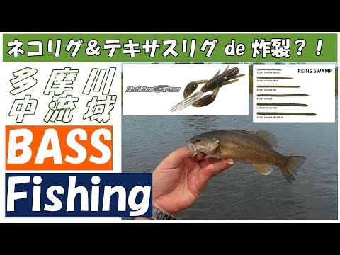 (ネコリグ＆テキサスリグ)多摩川バス釣り《BassFishing》スモール4連発