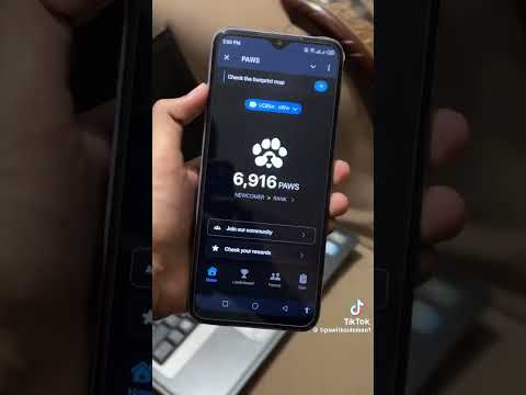 New telegram bot listings dates confirm| Paws airdrop #binance