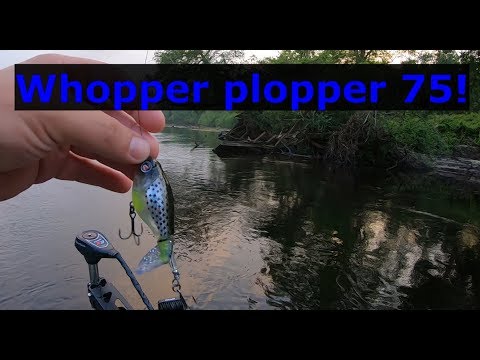 Whopper plopper 75, Suwannee River fishing! Gmoneystrong Outdoors Online Tournament