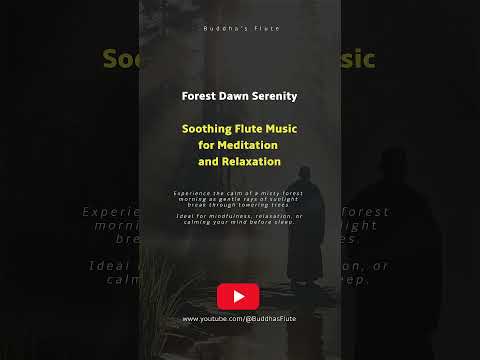 Forest Dawn Serenity | Soothing Flute Music for Meditation and Relaxation