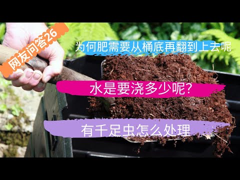 网友问答26：为何肥需要从桶底再翻到上去呢？有什么作用吗？• 有千足虫怎么处理？