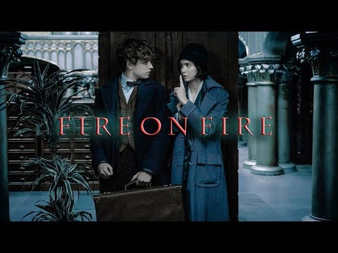 Newt & Tina | fire on fire