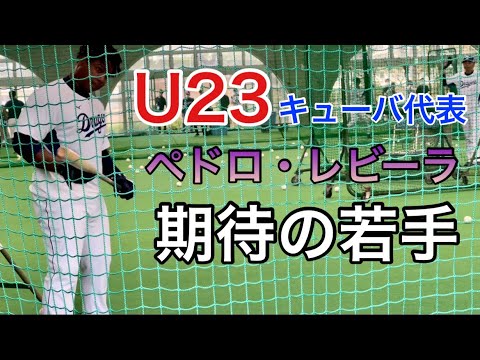 中日・レビーラ『もう一度支配下登録へ、来季はポストビシエドの期待に答えられるか？』