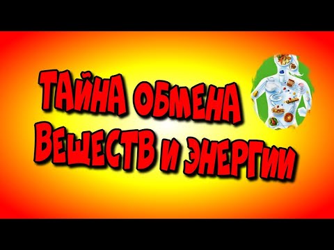 😇Тайна 👉Обмена Веществ и Энергии/The Secret 👉Metabolism and Energy♻️ [Olga Pak]