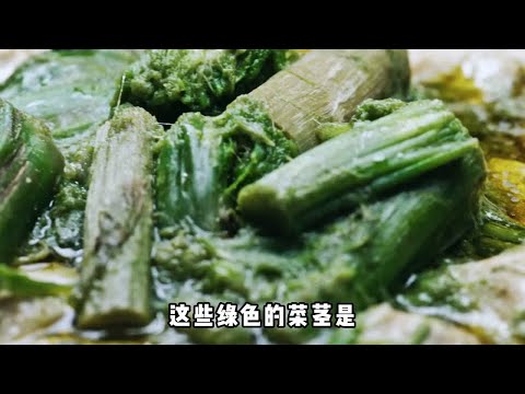 绍兴三臭之一的苋菜梗，鼓起勇气尝过后会沉浸在臭味中无法自拔