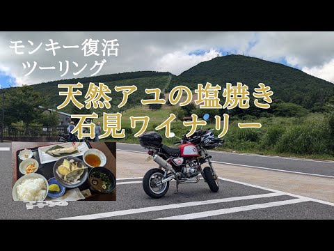 モンキーの試運転２回目（天然鮎の塩焼き定食と三瓶石見ワイナリー）【88ccカスタムモンキーで遊ぶ #173】