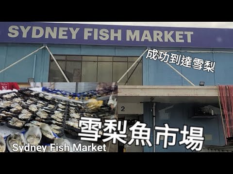 【雪梨魚市場遊記】成功到達雪梨 Sydney Fish Market【澳洲遊🇦🇺Ep.9】