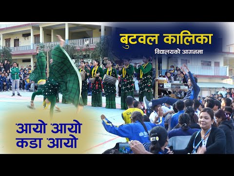 बुटवल कालिका विद्यालयमा घन्कियो पन्चेबाजा Kalika Manavgyan Secondary School | Butwal | Kala Ghar