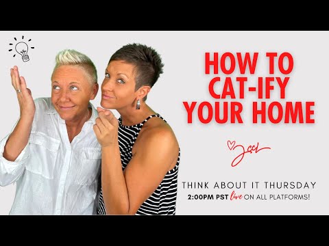 How To CAT-ify Your Home! | Think About It Thursday | Two Crazy Cat Ladies