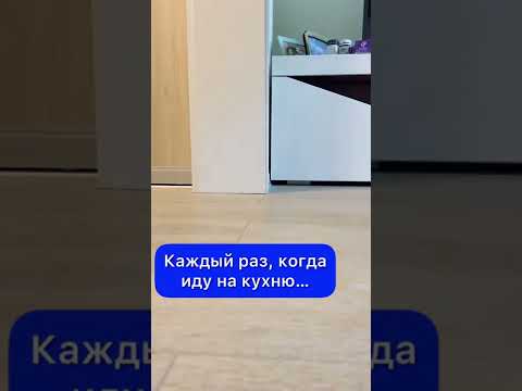 КАЖДЫЙ РАЗ, КОГДА ИДУ НА КУХНЮ…