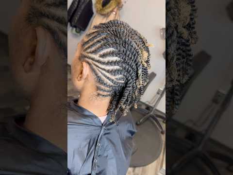 Two Strand Twist Updo