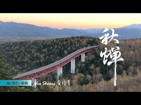 《秋蟬》Cicadas of Autumn ｜笛子演奏 Bamboo Flute (Dizi) cover｜享藝人生 Ava Huang