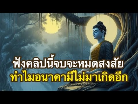 ทางอริยะEp30 เหตุ 2 อย่าง ที่ทำให้พระอนาคามี ไม่กลับมาเกิดในโลกนี้อีกแล้ว