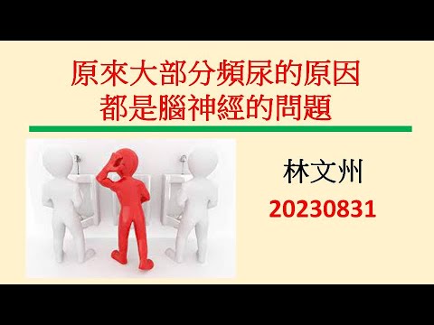 原來頻尿大部分的原因都是腦神經的問題－林文州20230831