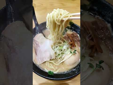 【熊本】あの名店の血を引くラーメン店が合志市にOPEN #グルメ #shorts