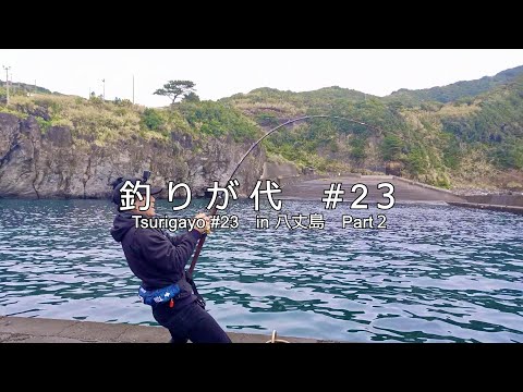 #23 八丈島で１００キロ越え？？　堤防の主と遭遇！｜in 八丈島 part２｜4K動画