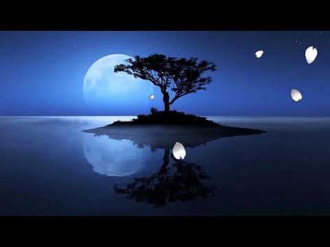 Deep Calming Music Under Full Moon Peaceful Night   Relaxing Song Playlist With Beautiful