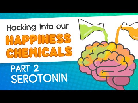 Hacking into our Happiness Chemicals // Part 2_Serotonin