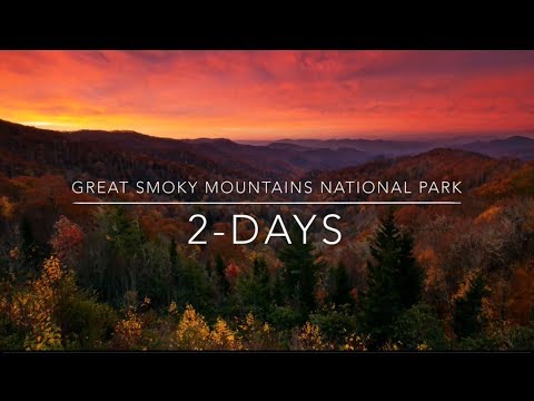 Great Smoky Mountains Hike