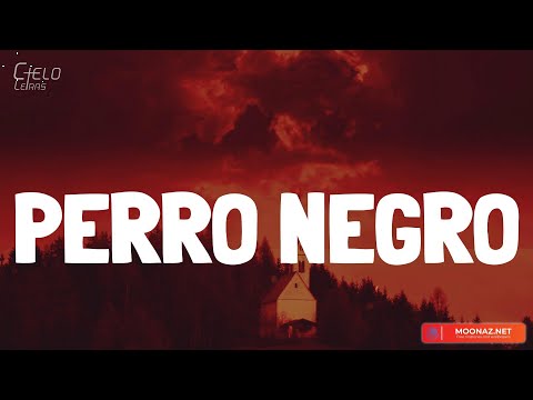 Bad Bunny - PERRO NEGRO (Lyrics/Letra)