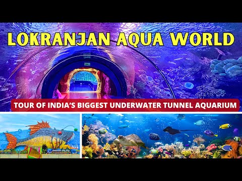 Explore India’s Biggest Tunnel Aquarium at Lokranjan Aqua World : Must-Visit in Mysore