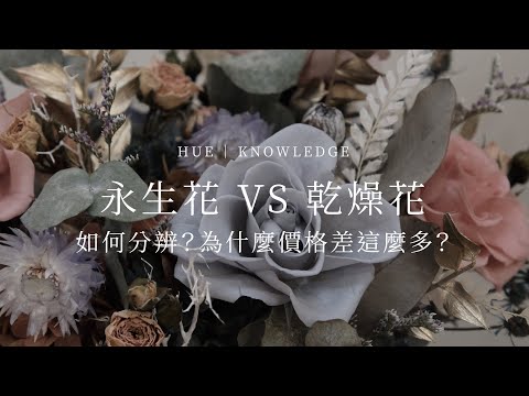 永生花 VS 乾燥花，如何分辨？為什麼價格差這麼多？｜HUE 花藝知識