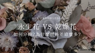 永生花 VS 乾燥花，如何分辨？為什麼價格差這麼多？｜HUE 花藝知識