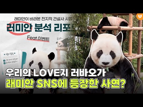 많은 사랑받고 있는 '러부지' 러바오가 러미안과 함께 래미안 공식 SNS에 등장한 이유