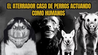 Perros Que Actúan Como Humanos.