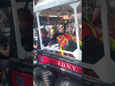 Labor day West Indian parade Brooklyn NYC 2024