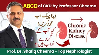 ABCD of CKD by Professor Cheema | Diagnose Kidney Disease by Yourself