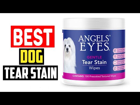 ✅Top 5 Best Dog Tear Stain of 2024