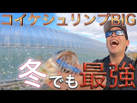 冬のクリークでバス釣りやるならとりあえずこれ持って行っとけば大丈夫です！！