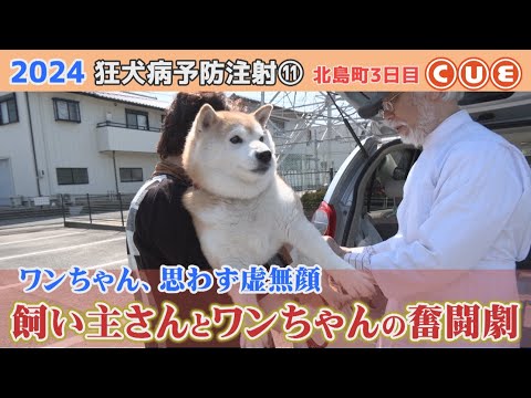 2024狂犬病予防注射　北島町でひっそり行われたワンコたちの戦い⑪