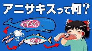 【ゆっくり解説】なぜ人間はアニサキスで食中毒を起こすのか