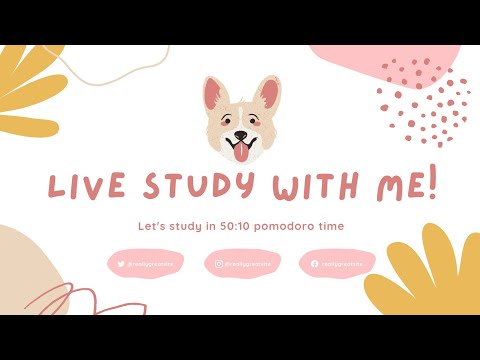 Live Study With Me/ Pomodoro 50:10 x 1 block