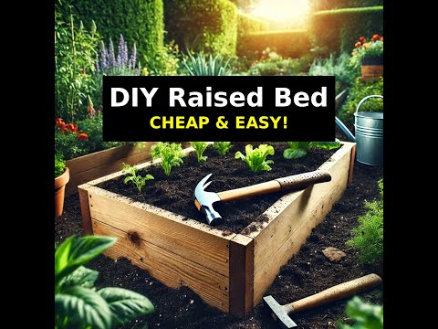 How to Build a Raised Bed for Your Garden CHEAP and EASY