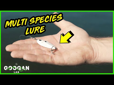 The Best MULTI SPECIES LURE! ( Fishing Tips )