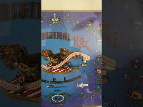 Original Haze Soil Recipe - via the Cosmic Boogie Poster - Cannabis Rarest Strain Memorabilia 420