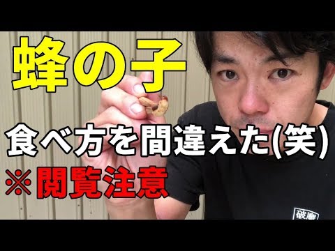 【閲覧注意】蜂の子の食べ方を間違えた(笑)この食べ方はプロ専用。（Eat bee larvae）