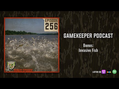 EP:256 | Bonus: Invasive Fish