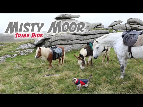 Misty Moorland Tribe Ride