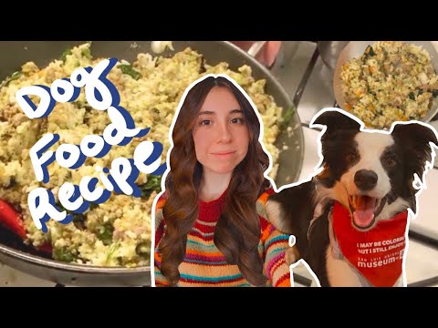 How to Make Homemade Dog Food (Vet-Approved Recipe ✅)