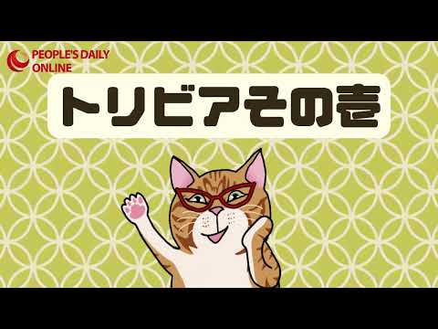 【ぶらり北京】もぐらツアー（前編）